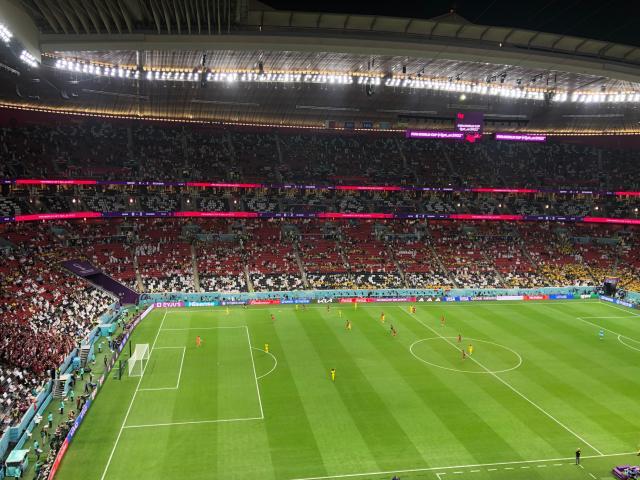 1668984161415039352.jpg 微信图片_20221121064115.jpg